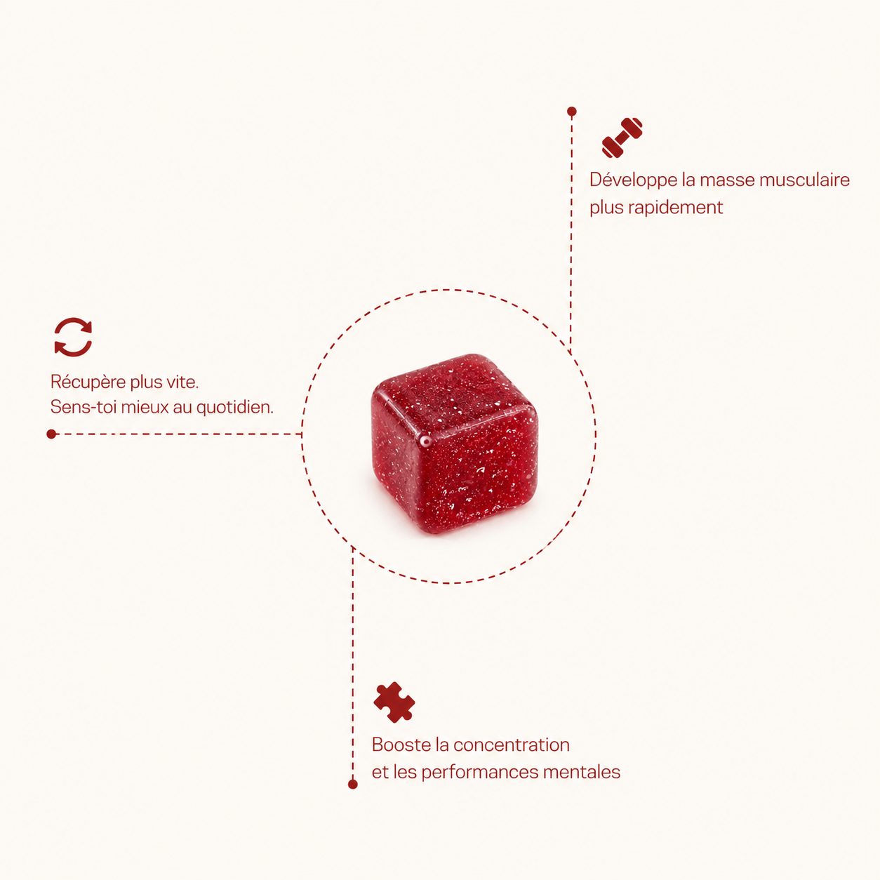Gummies de Créatine - Seino